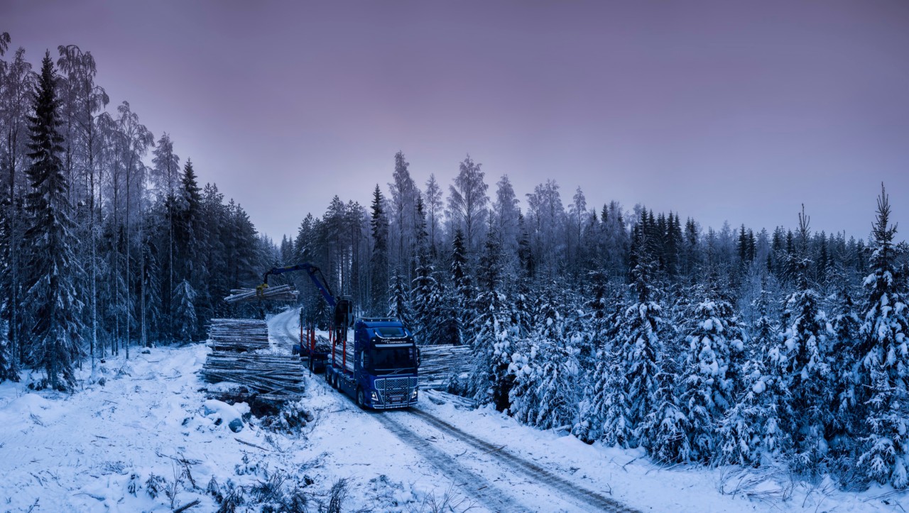 Nakládka dřeva ve finském lese