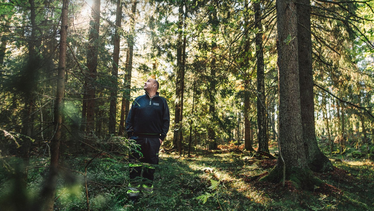 Bert Johansson v lese